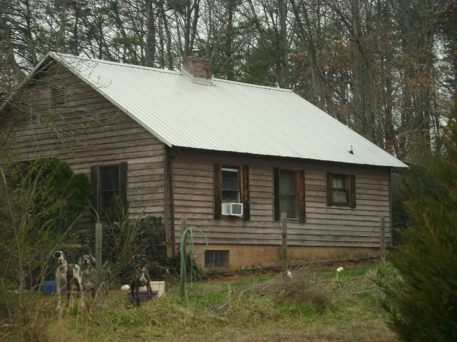 White metal roof on an old wood sided farmhouse, from a Metal Roof Installation job in Bancroft
